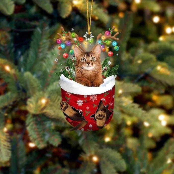 Cat In Snow Pocket Christmas Ornament SP166