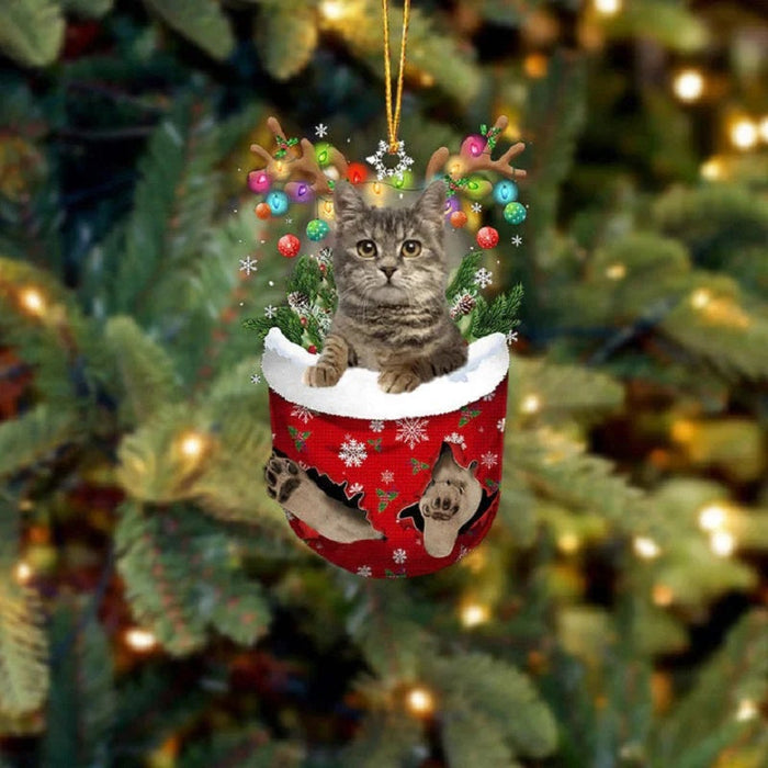 European Shorthair In Snow Pocket Christmas Ornament SP200